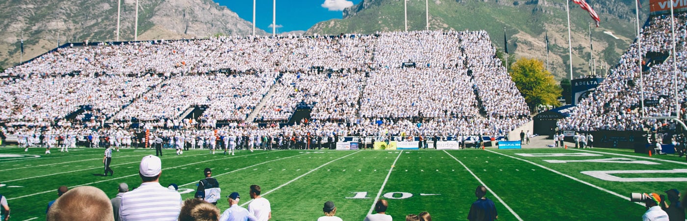 Pebble Bowl - Sierra Rental Company